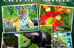 Call of Nature: Jigsaw Puzzle